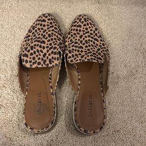 Cheetah Shoes